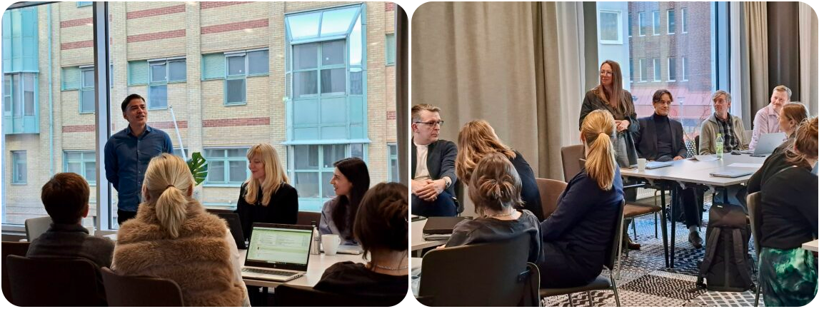 CARE project partners discussing intervention experiences during workshop sessions at the General Project Meeting in Helsingborg, Sweden